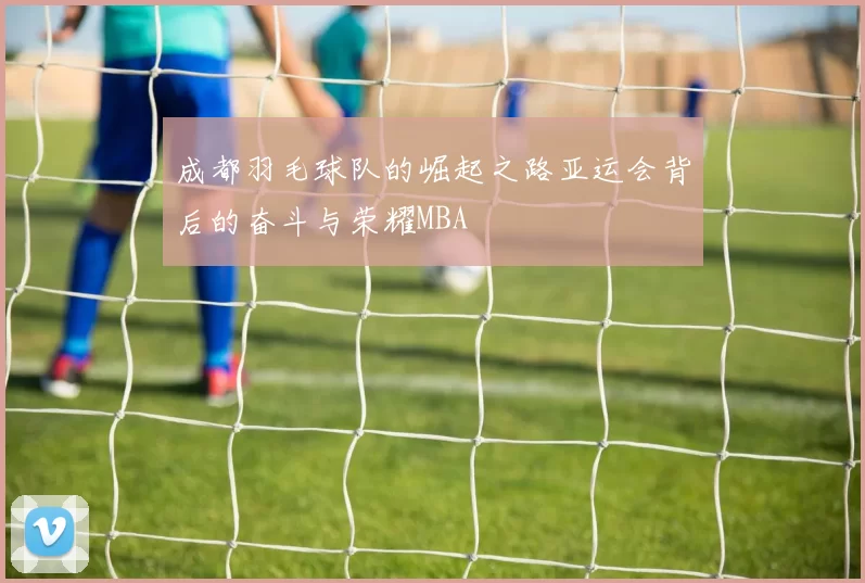 成都羽毛球队的崛起之路亚运会背后的奋斗与荣耀MBA