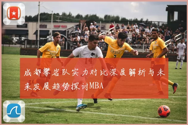 成都攀岩队实力对比深度解析与未来发展趋势探讨MBA