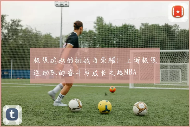 极限运动的挑战与荣耀：上海极限运动队的奋斗与成长之路MBA
