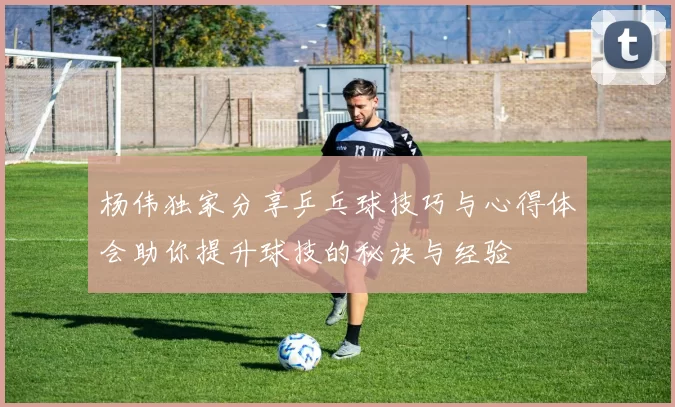 杨伟独家分享乒乓球技巧与心得体会助你提升球技的秘诀与经验