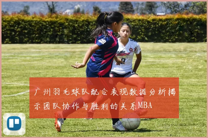 广州羽毛球队配合表现数据分析揭示团队协作与胜利的关系MBA